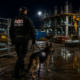 Professional Security Teams