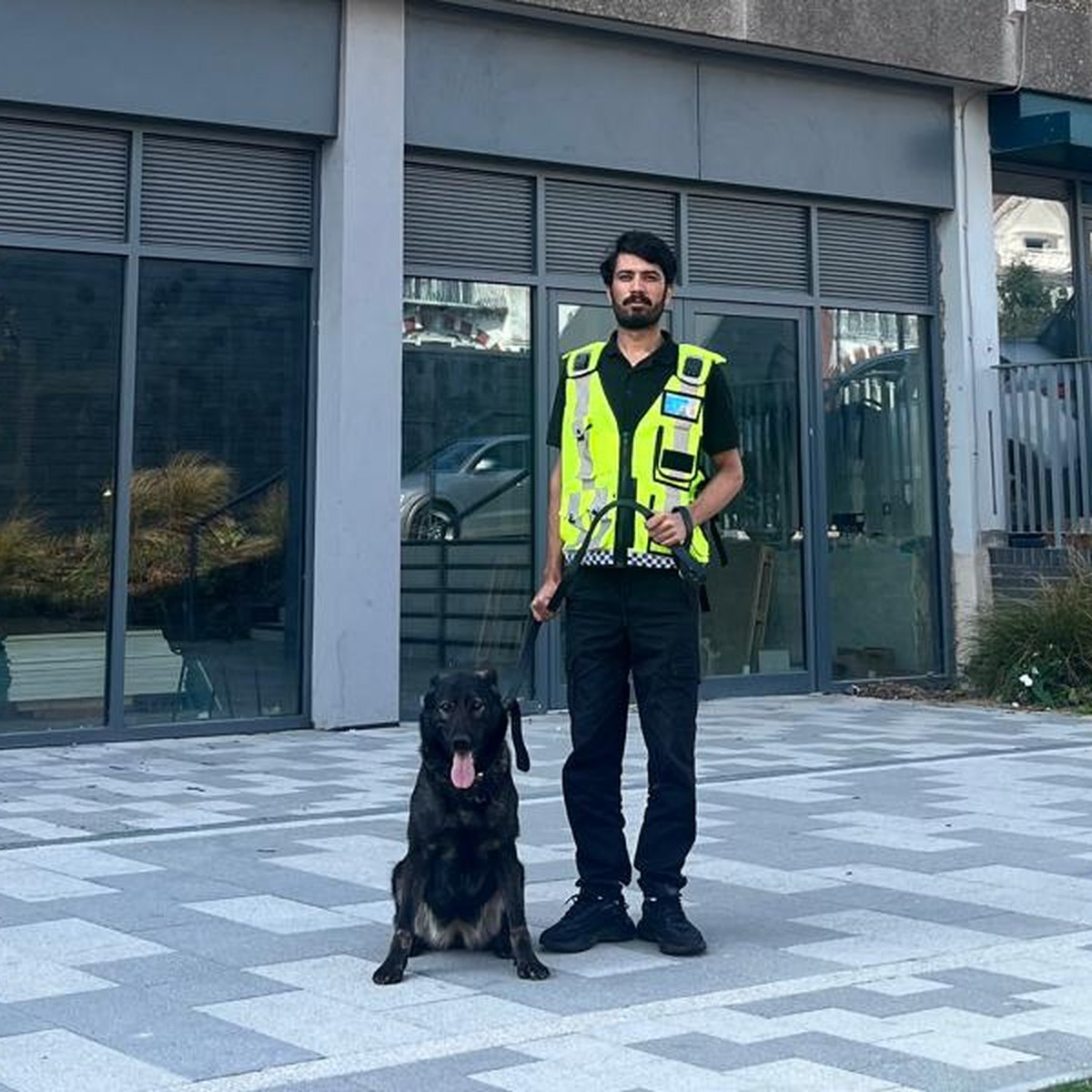 SIA licensed officer and general purpose patrol dog providing 24/7 vacant building security in South London