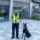 AGS Security K9 handler and patrol dog providing vacant building security in South London