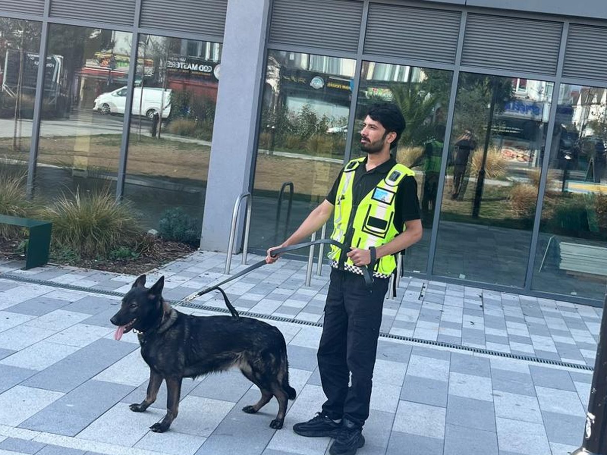 AGS Security K9 team on patrol at a vacant building in South London