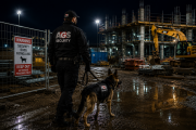 4 K9